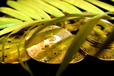 Grüne Kryptowährungen: Welche Coins sind umweltfreundlich?